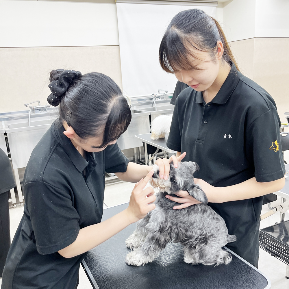 ２年生の看護実習